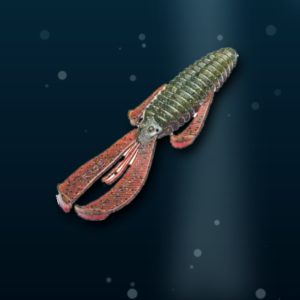 sample bandidobug gopro