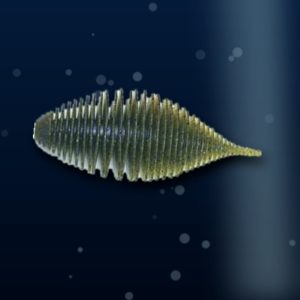 sample bellowgill gopro