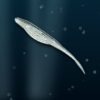 sample fluke1 gopro sample fluke1 gopro