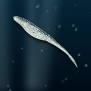sample fluke1 gopro