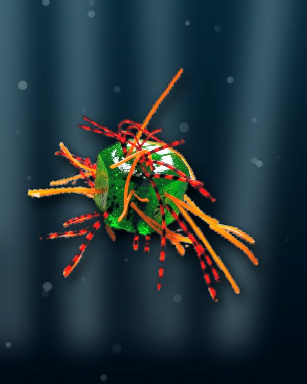 sample hexavirus1 gopro